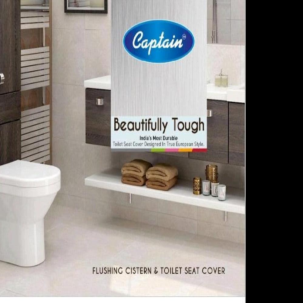 Plastic Flushing Cistern & Toilet Seat cover